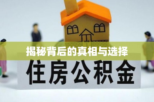 乌什揭秘背后的真相与选择