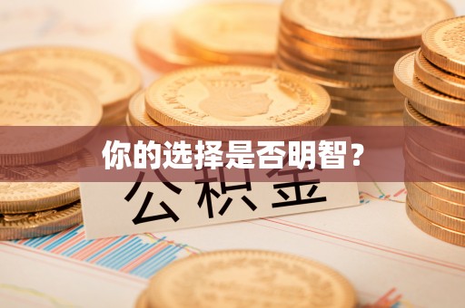 乌什你的选择是否明智？