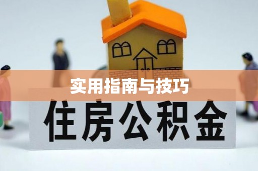 乌什实用指南与技巧