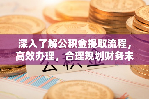 乌什深入了解公积金提取流程，高效办理，合理规划财务未来