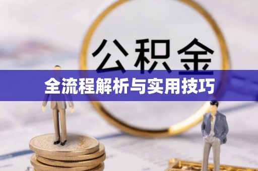 乌什全流程解析与实用技巧