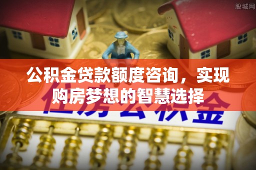 乌什公积金贷款额度咨询，实现购房梦想的智慧选择