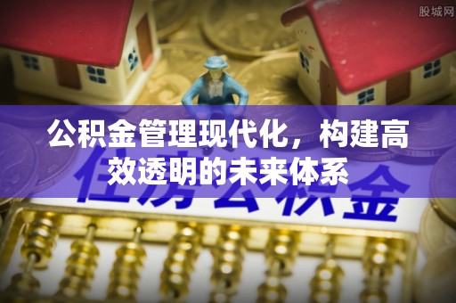 乌什公积金管理现代化，构建高效透明的未来体系