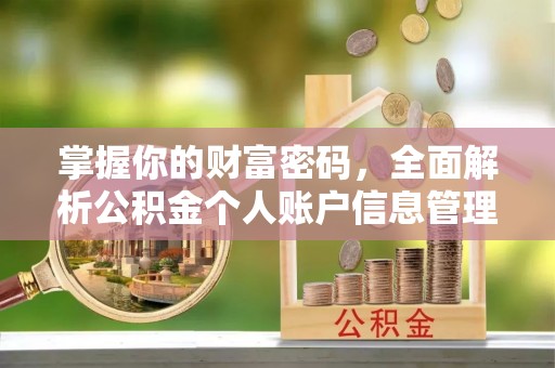 乌什掌握你的财富密码，全面解析公积金个人账户信息管理与优化