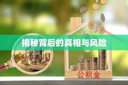 乌什揭秘背后的真相与风险