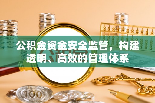 乌什公积金资金安全监管，构建透明、高效的管理体系