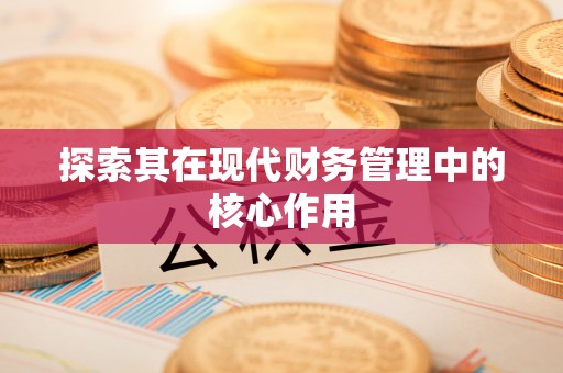 乌什探索其在现代财务管理中的核心作用