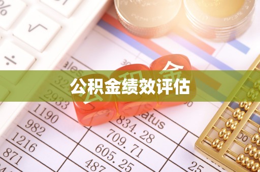 乌什公积金绩效评估