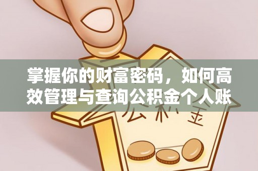 乌什掌握你的财富密码，如何高效管理与查询公积金个人账户信息