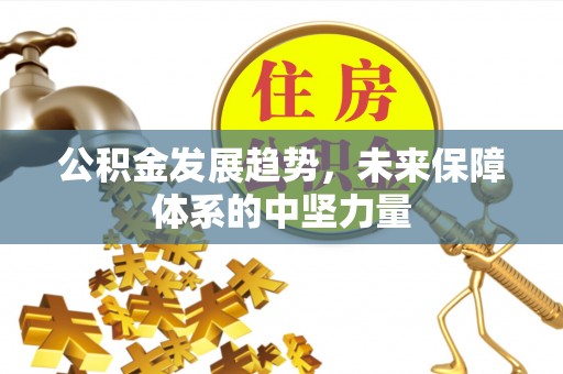 乌什公积金发展趋势，未来保障体系的中坚力量
