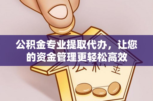 乌什公积金专业提取代办，让您的资金管理更轻松高效