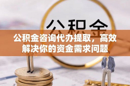 乌什公积金咨询代办提取，高效解决你的资金需求问题