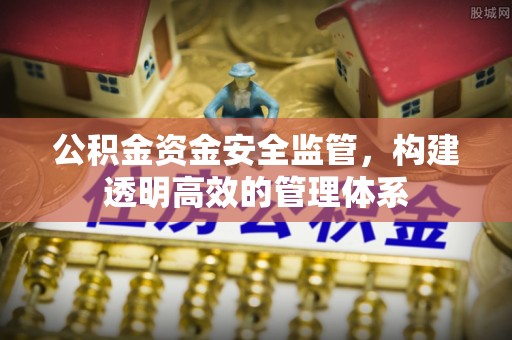 乌什公积金资金安全监管，构建透明高效的管理体系