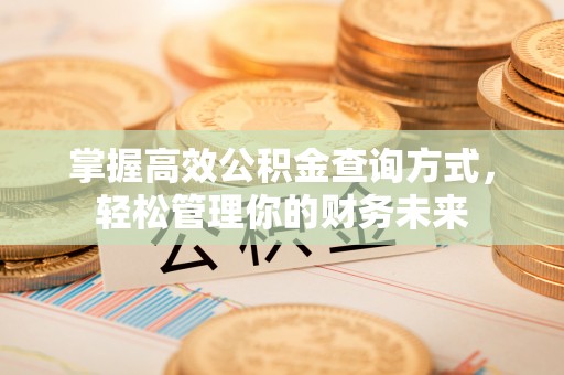 乌什掌握高效公积金查询方式，轻松管理你的财务未来