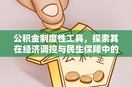 乌什公积金制度性工具，探索其在经济调控与民生保障中的重要作用