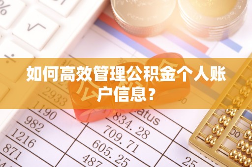 乌什如何高效管理公积金个人账户信息？