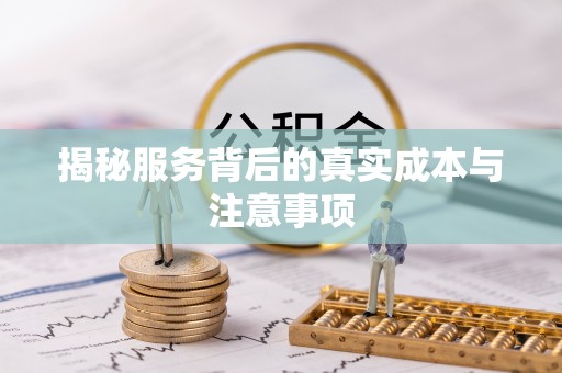 乌什揭秘服务背后的真实成本与注意事项