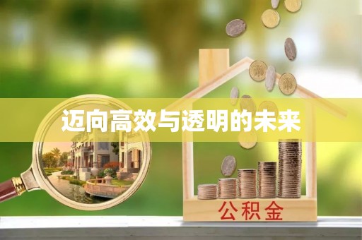乌什迈向高效与透明的未来