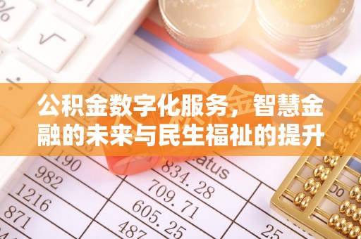 乌什公积金数字化服务，智慧金融的未来与民生福祉的提升