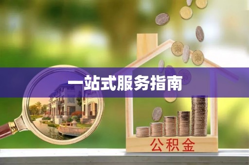 乌什一站式服务指南