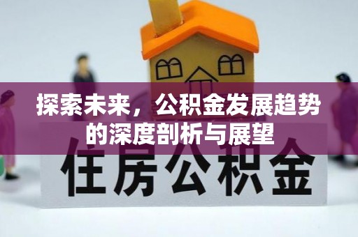 乌什探索未来，公积金发展趋势的深度剖析与展望