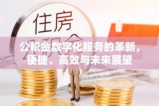 乌什公积金数字化服务的革新，便捷、高效与未来展望