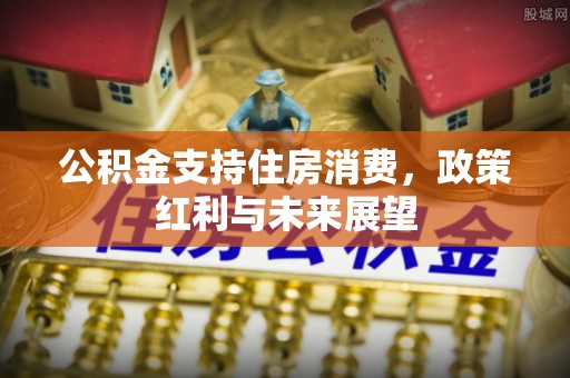乌什公积金支持住房消费，政策红利与未来展望