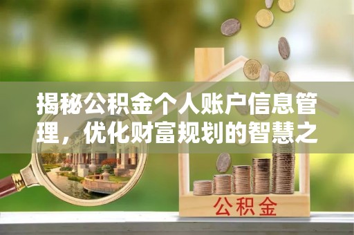 乌什揭秘公积金个人账户信息管理，优化财富规划的智慧之选