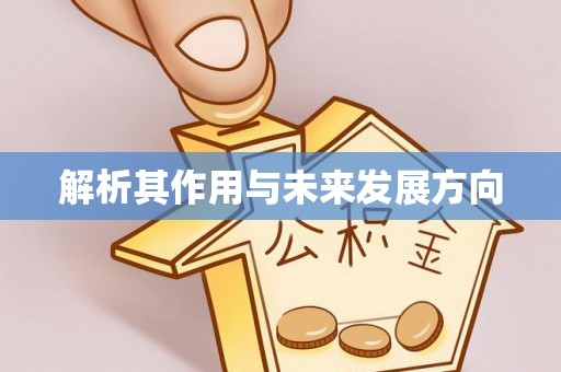 乌什解析其作用与未来发展方向
