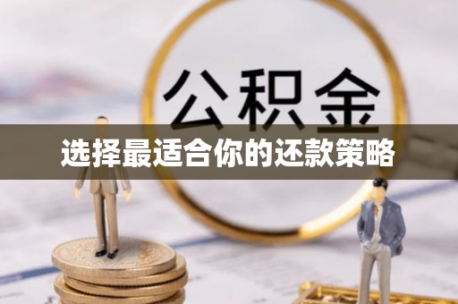 乌什选择最适合你的还款策略